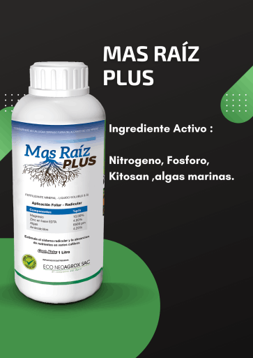 product22